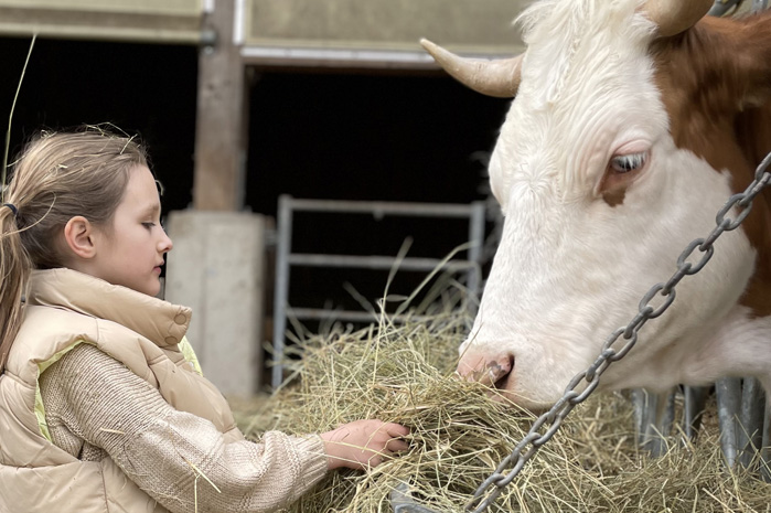 Présentation de l'activité de créativité